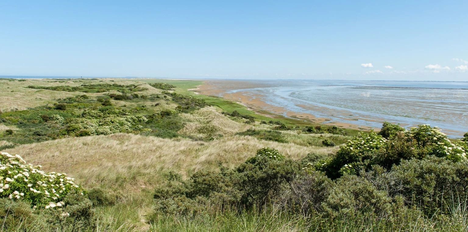 Wadden