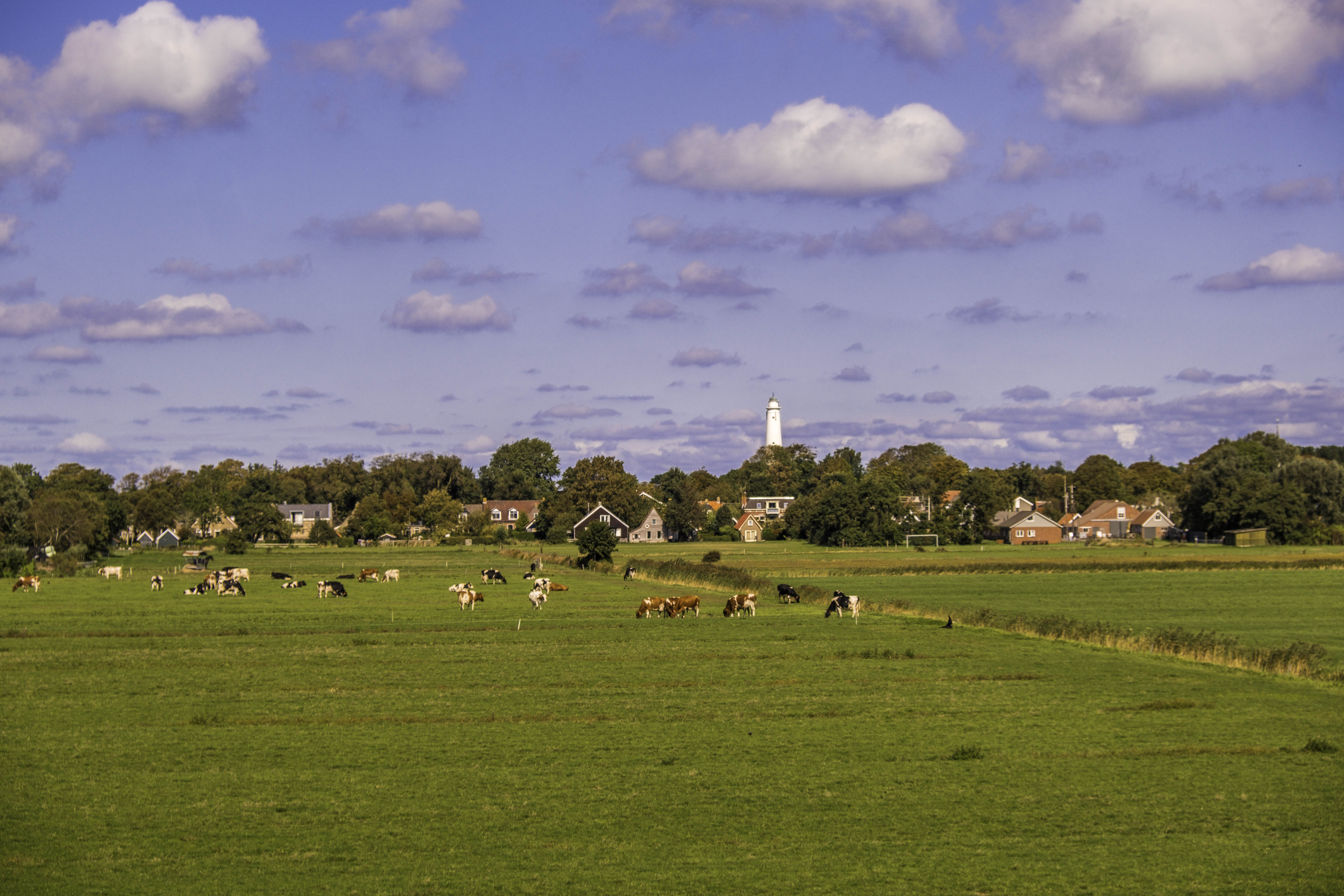 Dit is Schiermonnikoog